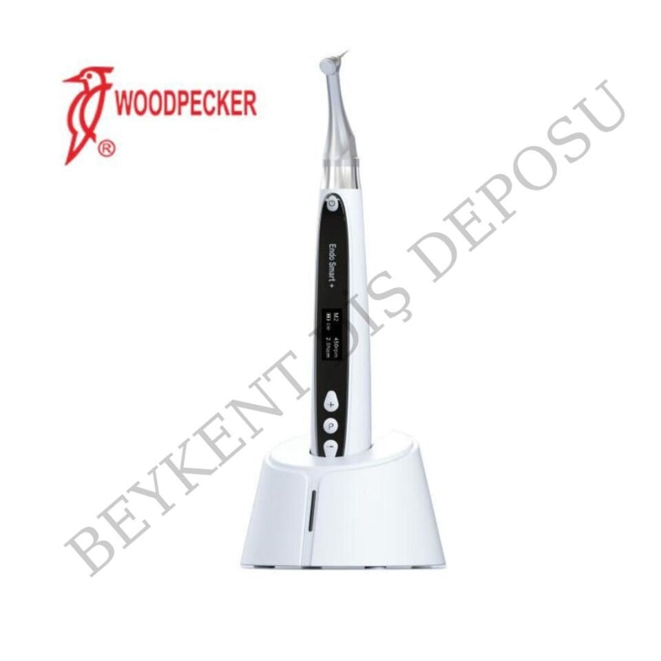 WOODPECKER ENDO SMART - ENDOMOTOR